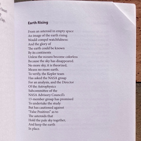 All Rise Dick Bentley Out of Print Poetry Prose Hell Paris Review Urban Planner - Picture 12 of 14